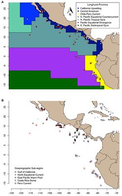 Opportunism on the High Seas: Foraging Ecology of Olive Ridley Turtles in the Eastern Pacific Ocean